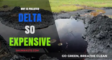 Why Polluted Deltas Command High Prices: Unraveling the Costly Paradox