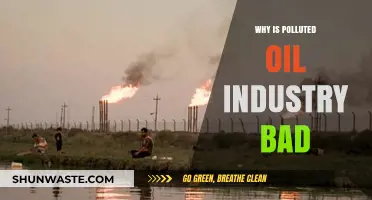 Toxic Oil Industry: Environmental, Health, and Economic Consequences Explained