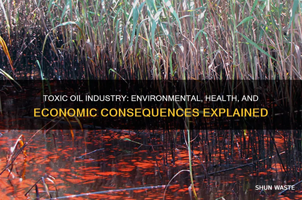 why is polluted oil industry bad