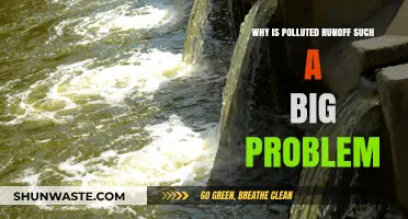 Polluted Runoff: A Silent Environmental Threat and Its Devastating Impact