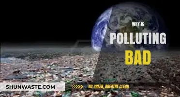 Polluting Our Planet: The Devastating Impact and Urgent Need for Change