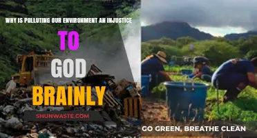 Polluting Our Environment: A Moral Injustice to God's Creation