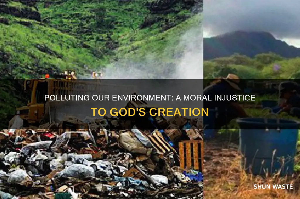 why is polluting our environment an injustice to god brainly
