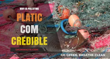 The Hidden Dangers of Polluting Plastic: Why It's a Credible Threat