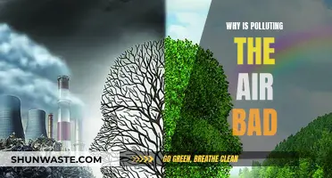 Air Pollution: Harmful Effects and Why We Must Act Now