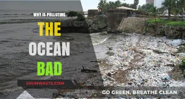 Ocean Pollution's Devastating Impact: Why It's a Global Crisis