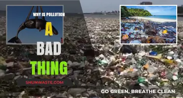 Pollution's Devastating Impact: Harming Health, Environment, and Our Future
