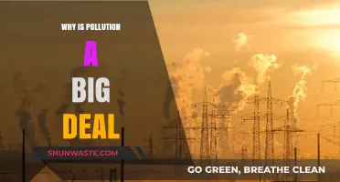 Pollution's Impact: Why It's a Global Crisis We Can't Ignore