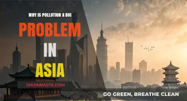 Asia's Pollution Crisis: Causes, Impacts, and Urgent Solutions Needed