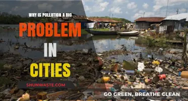 Urban Pollution Crisis: Causes, Impacts, and Solutions for Cleaner Cities