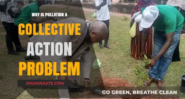 Pollution's Collective Challenge: Why Individual Efforts Aren't Enough to Solve It