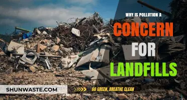 Landfill Pollution Crisis: Environmental Impacts and Urgent Concerns Explained