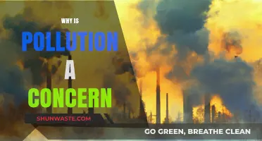 Pollution's Impact: Why It's a Growing Global Concern for All