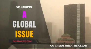 Pollution's Global Impact: Uniting Nations to Combat Environmental Crisis
