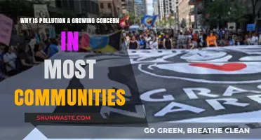 Pollution's Rise: A Growing Threat to Communities Worldwide