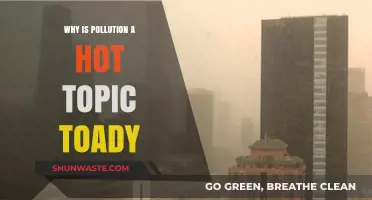 Pollution Crisis: Why It's Today's Most Pressing Global Concern
