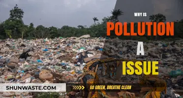 Pollution's Devastating Impact: Understanding the Global Environmental Crisis