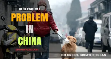 China's Pollution Crisis: Causes, Impacts, and Urgent Solutions Needed