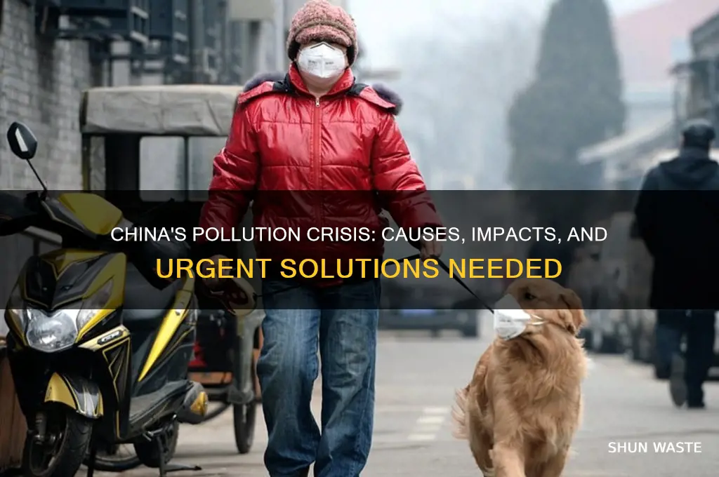 why is pollution a problem in china