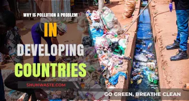 Pollution Crisis: Challenges and Impacts in Developing Nations Explained