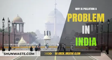 India's Pollution Crisis: Causes, Impacts, and Urgent Solutions Needed