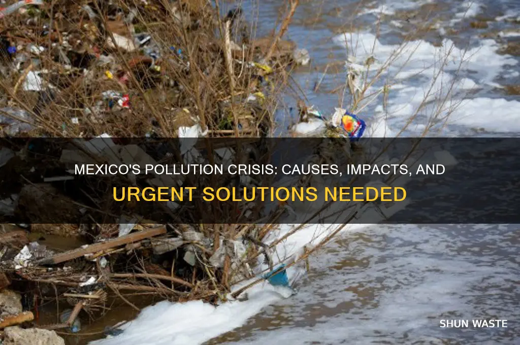 why is pollution a problem in mexico