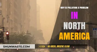 North America's Pollution Crisis: Causes, Impacts, and Urgent Solutions