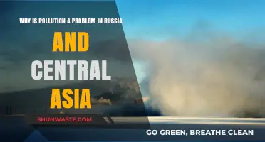 Russia and Central Asia's Pollution Crisis: Causes and Consequences