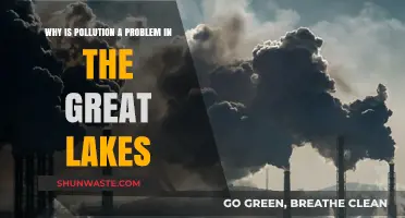 Pollution's Impact: Unraveling the Great Lakes' Environmental Crisis