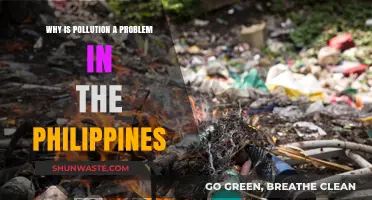 Pollution Crisis in the Philippines: Causes, Impacts, and Urgent Solutions