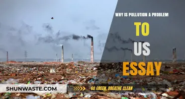 Pollution's Impact: Understanding Why It's a Critical Problem for Humanity