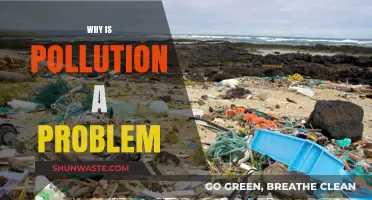 Pollution's Impact: Understanding the Devastating Effects