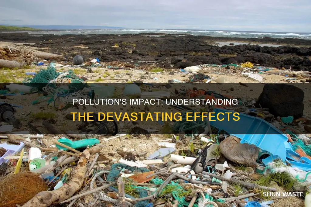 why is pollution a problem