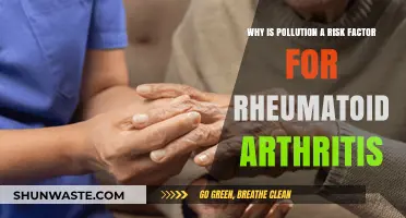 Pollution's Hidden Threat: Uncovering Links to Rheumatoid Arthritis Risk