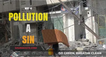 Pollution as a Moral Failure: Why Environmental Harm is a Sin