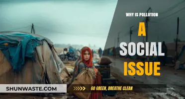 Pollution's Impact: A Social Crisis Affecting Communities and Equality