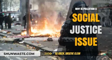 Pollution's Unequal Impact: A Social Justice Crisis Explored
