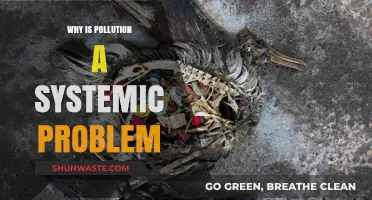 Pollution's Deep Roots: Unraveling the Systemic Crisis Threatening Our Planet