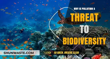 Pollution's Devastating Impact: How It Threatens Global Biodiversity Loss