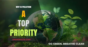 Combating Pollution: A Critical Priority for Our Planet's Survival