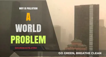 Global Pollution Crisis: Understanding Its Universal Impact and Urgent Solutions