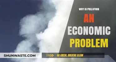Pollution's Economic Impact: Hidden Costs and Long-Term Consequences