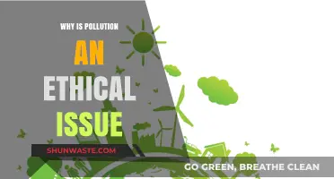 Pollution's Moral Dilemma: Ethical Responsibility in a Contaminated World