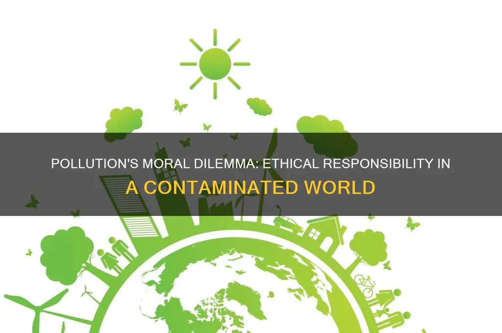 why is pollution an ethical issue