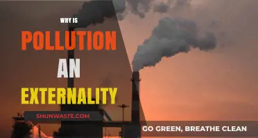 Pollution's Hidden Costs: Understanding Its Impact as an Economic Externality