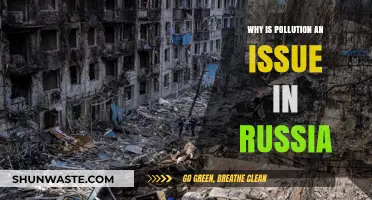 Russia's Pollution Crisis: Causes, Impacts, and Urgent Solutions Needed