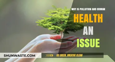 Pollution's Impact: How Environmental Contaminants Threaten Human Health