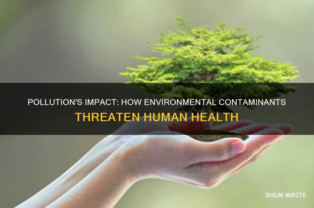 why is pollution and human health an issue
