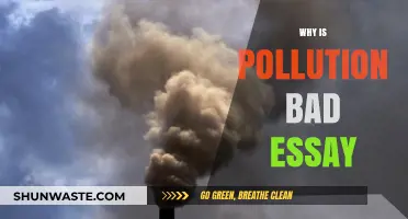 The Devastating Impact of Pollution on Our Planet and Health
