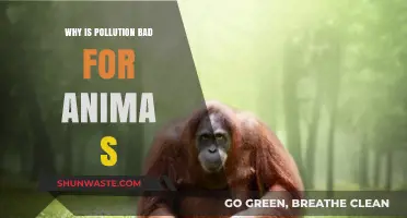 Pollution's Devastating Impact: How It Harms Animals and Ecosystems